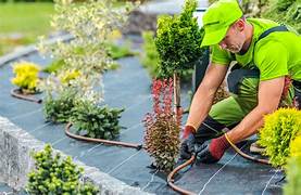 Eco-conscious Landscaping Design, Installation, Irrigation, and Maintenance Across Oman Since 2009.