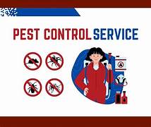 Trusted Pest Control Experts in Muscat Offering Safe, Reliable, and Affordable Treatment Solutions.