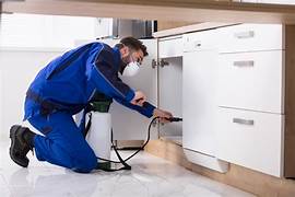 Affordable Pest Control Services with Experienced Technicians Serving Homes and Offices Across Oman.