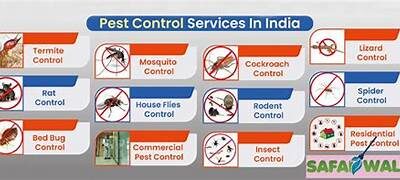 Trusted Pest Control Experts in Muscat Offering Safe, Reliable, and Affordable Treatment Solutions.