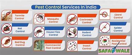 Trusted Pest Control Experts in Muscat Offering Safe, Reliable, and Affordable Treatment Solutions.