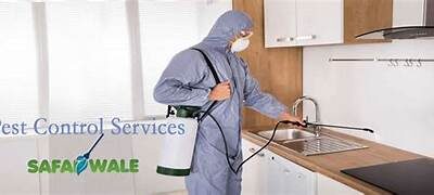 Safe and Eco-Friendly Pest Control Solutions with Professional Termite Protection Services in Muscat.
