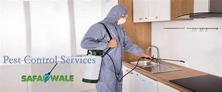 Safe and Eco-Friendly Pest Control Solutions with Professional Termite Protection Services in Muscat.
