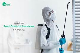 Safe and Eco-Friendly Pest Control Solutions with Professional Termite Protection Services in Muscat.