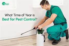 Reliable Residential and Commercial Pest Control with Emergency Response Available in Muscat City.