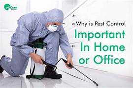 Reliable Residential and Commercial Pest Control with Emergency Response Available in Muscat City.